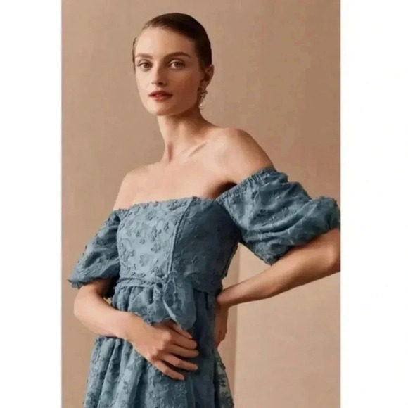 NWT Anthropologie BHLDN Beatrice Organza Maxi Dress Floral Blue Size 10 - Picture 5 of 14